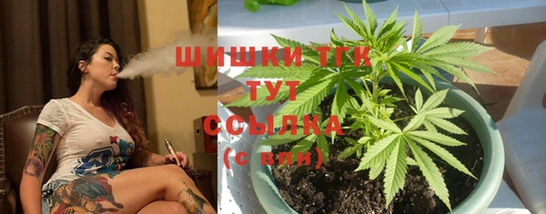 spice Алзамай