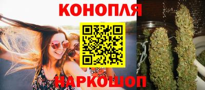 дмт Кингисепп