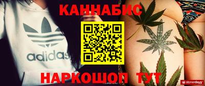 дмт Кингисепп