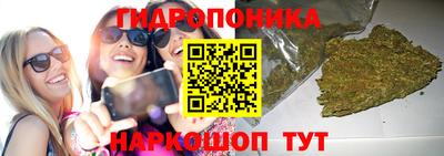 дмт Кингисепп