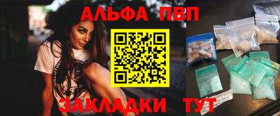 дмт Кингисепп
