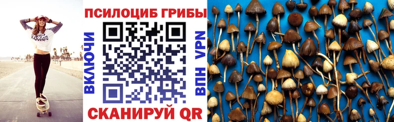 сколько стоит  Котлас  мега онион  Псилоцибиновые грибы ЛСД 