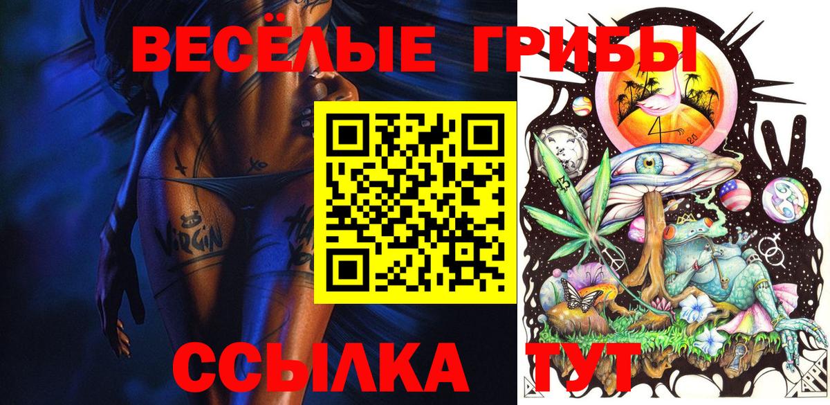 Псилоцибиновые грибы Psilocybe Котлас