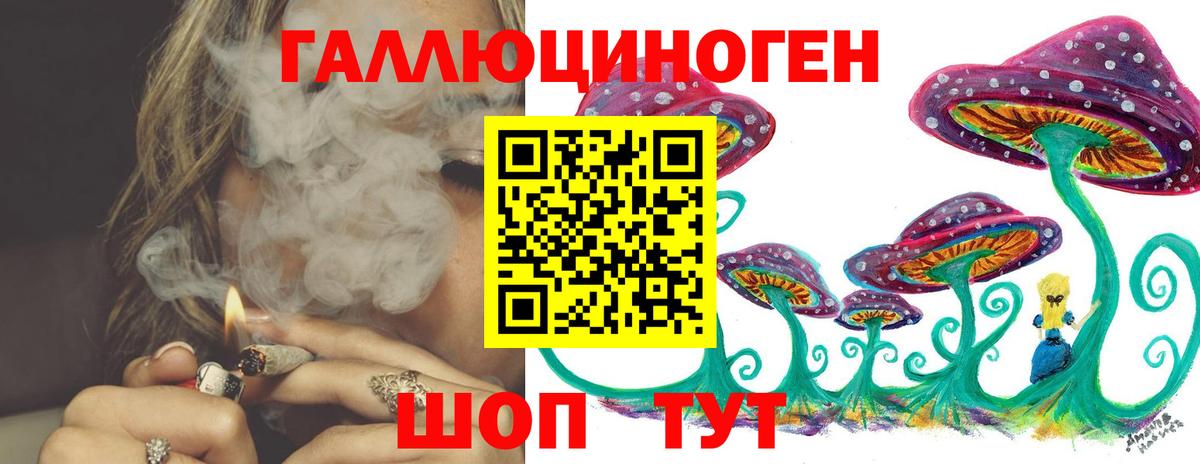 Псилоцибиновые грибы Psilocybe  Вход с VPN  Котлас 